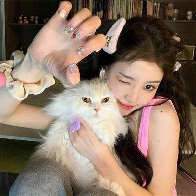 姆明谷的彗星来袭