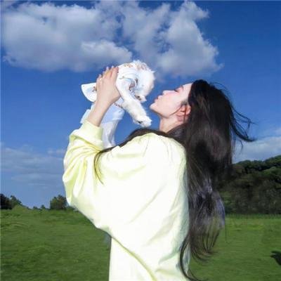 直言真相第三季